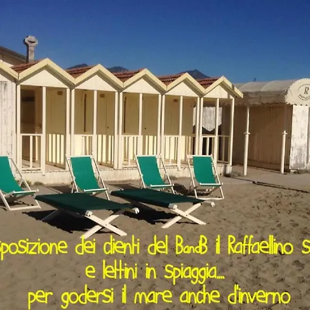 Il Raffaellino